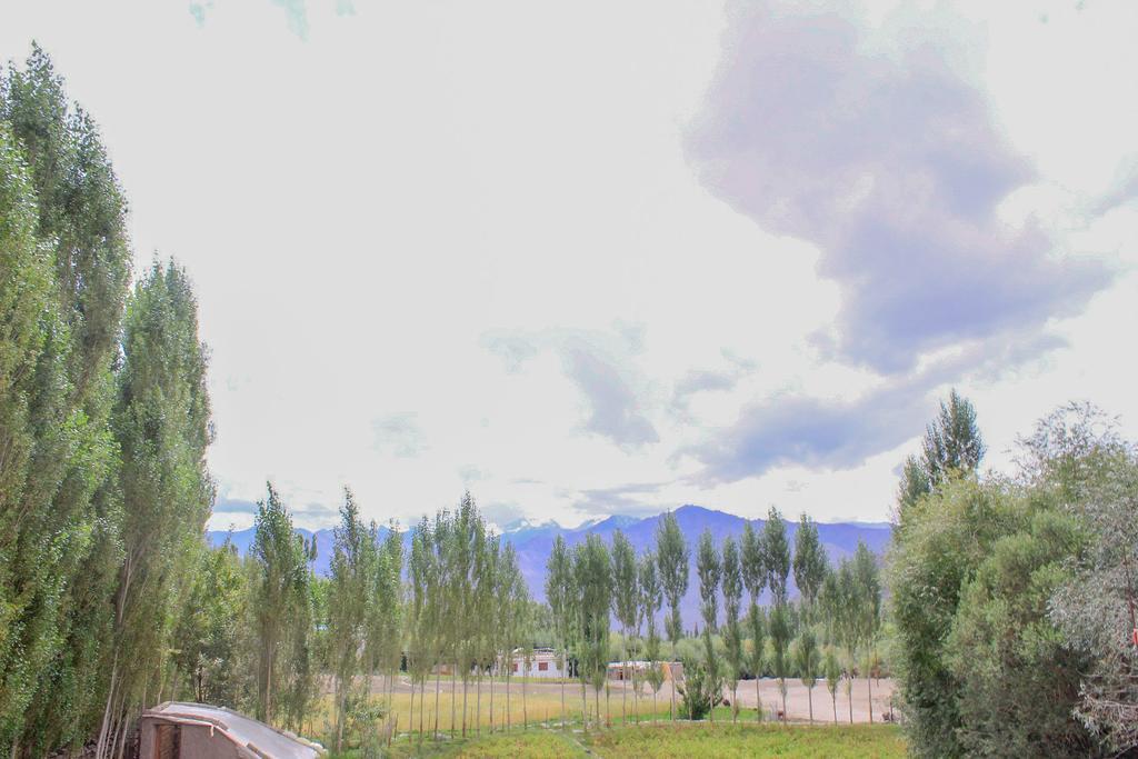Tsetan Guest House Leh Exterior foto